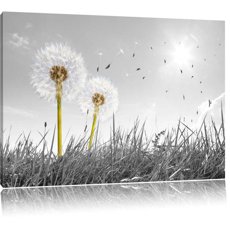 Pixxprint Dandelions in a Meadow Wall Art on Canvas & Reviews Wayfair